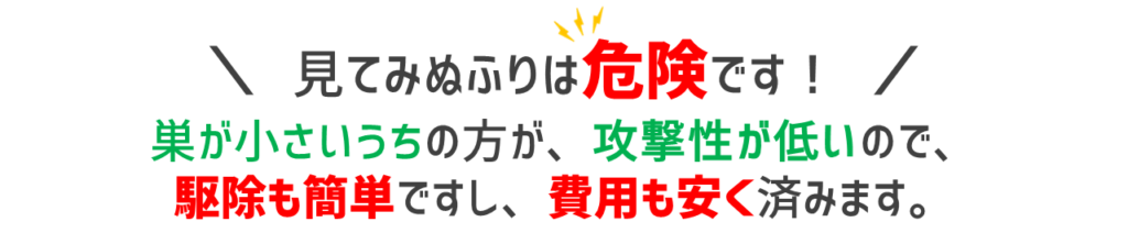 蜂や蜂の巣の見てみぬふりは危険です!|蜂の巣が小さいうちの方が、攻撃性が低いので、駆除も簡単ですし、費用も安く済みます。