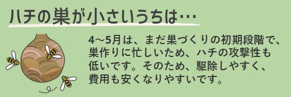 蜂の巣が小さいうち、4~5月は、まだ巣づくりの初期段階。蜂の巣作りに忙しいため、蜂の攻撃性も低いです。そのため、駆除しやすく、費用も安くなりやすいです。