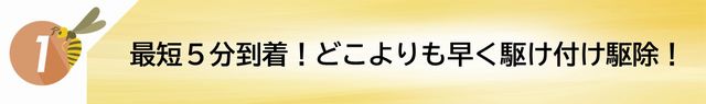 速攻蜂退治・蜂の巣駆除|現地の最短5分で到着!どこよりも早く駆け付けます!