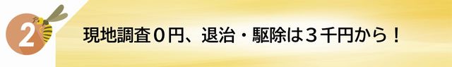 蜂退治・蜂の巣駆除の現地調査・見積りは0円、蜂退治・蜂の巣駆除は3千円から!