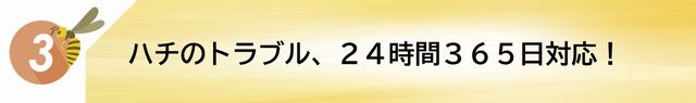 蜂・蜂の巣のトラブル、24時間365日対応
