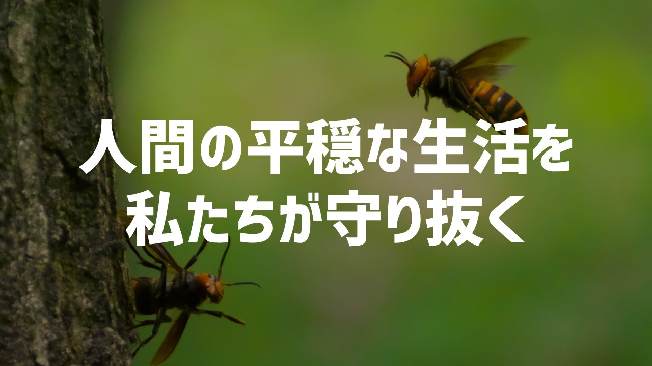 top-slide_20230224 (1)