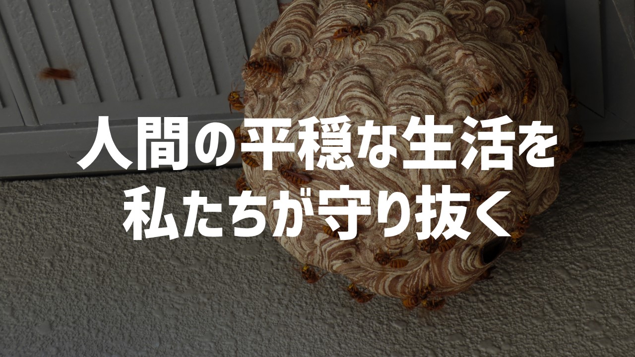 top-slide_20230224 (2)