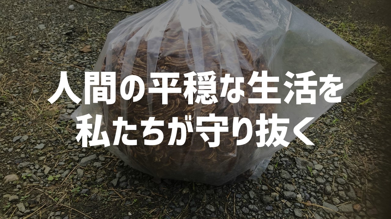 top-slide_20230224 (3)