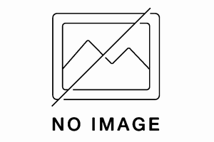 チャイロスズメバチの外観
