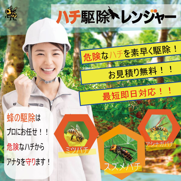 蜂の巣駆除 ハチ駆除レンジャーTOP