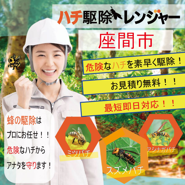 座間市 蜂駆除 ハチ駆除レンジャー moTOP