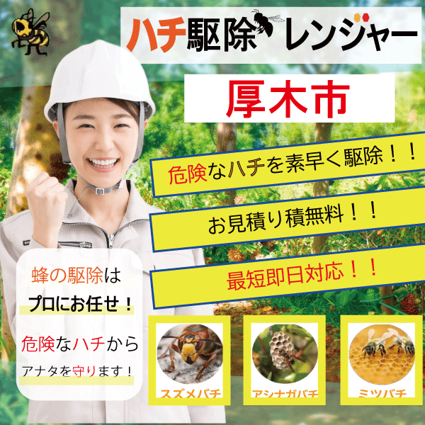 厚木市で蜂の巣駆除ならハチ駆除レンジャー