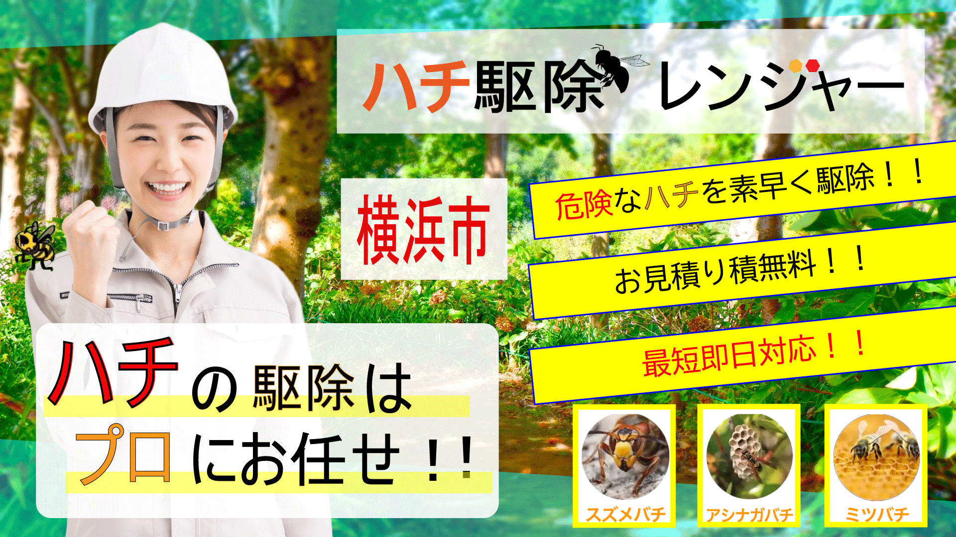 横浜市の蜂の巣駆除ならハチ駆除レンジャー