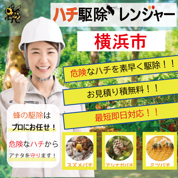 横浜市の蜂の巣駆除ならハチ駆除レンジャーにお任せ!!